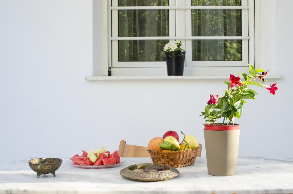 Garden House Palaio Faliro Atenas Exterior foto